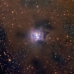 NGC7023  Iris  LRGB