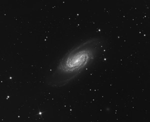 NGC2903-L-430min-for- website