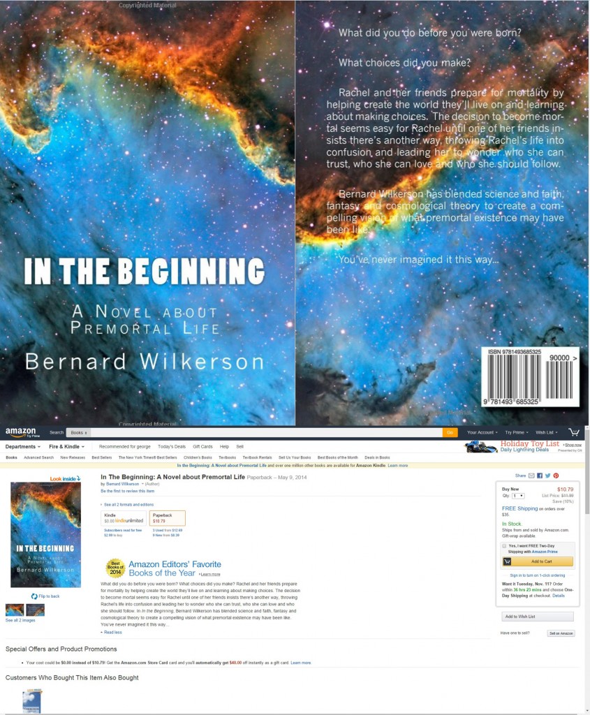 In-the-Beginning-Novel-Cover